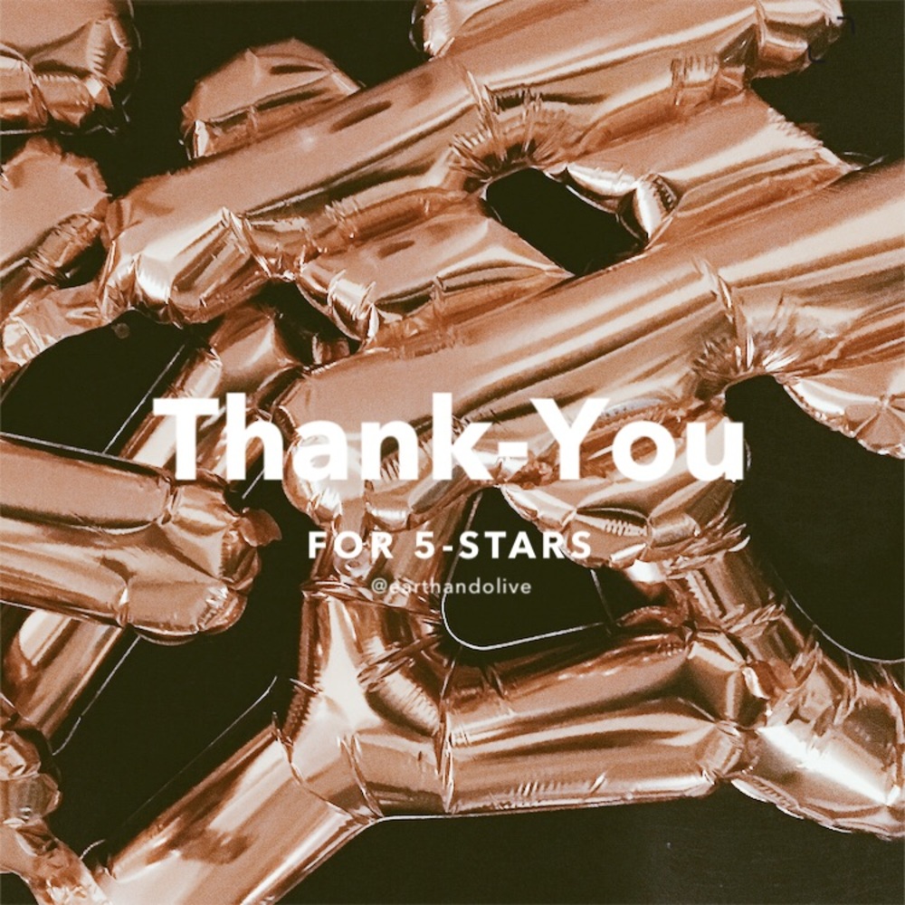 〰️ T H A N K   Y O U